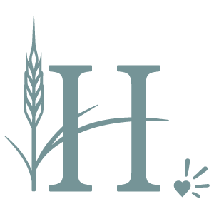 Blue Hayden H logo